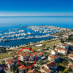 App Miranda Sun Umag